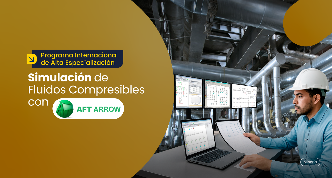 Programa Internacional de Alta Especialización en Simulación de Fluidos Compresibles con AFT ARROW