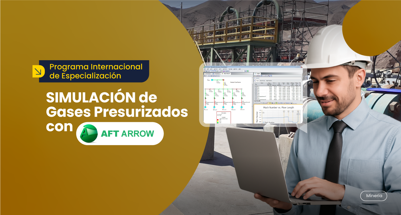 Simulación de Gases Presurizados con AFT ARROW